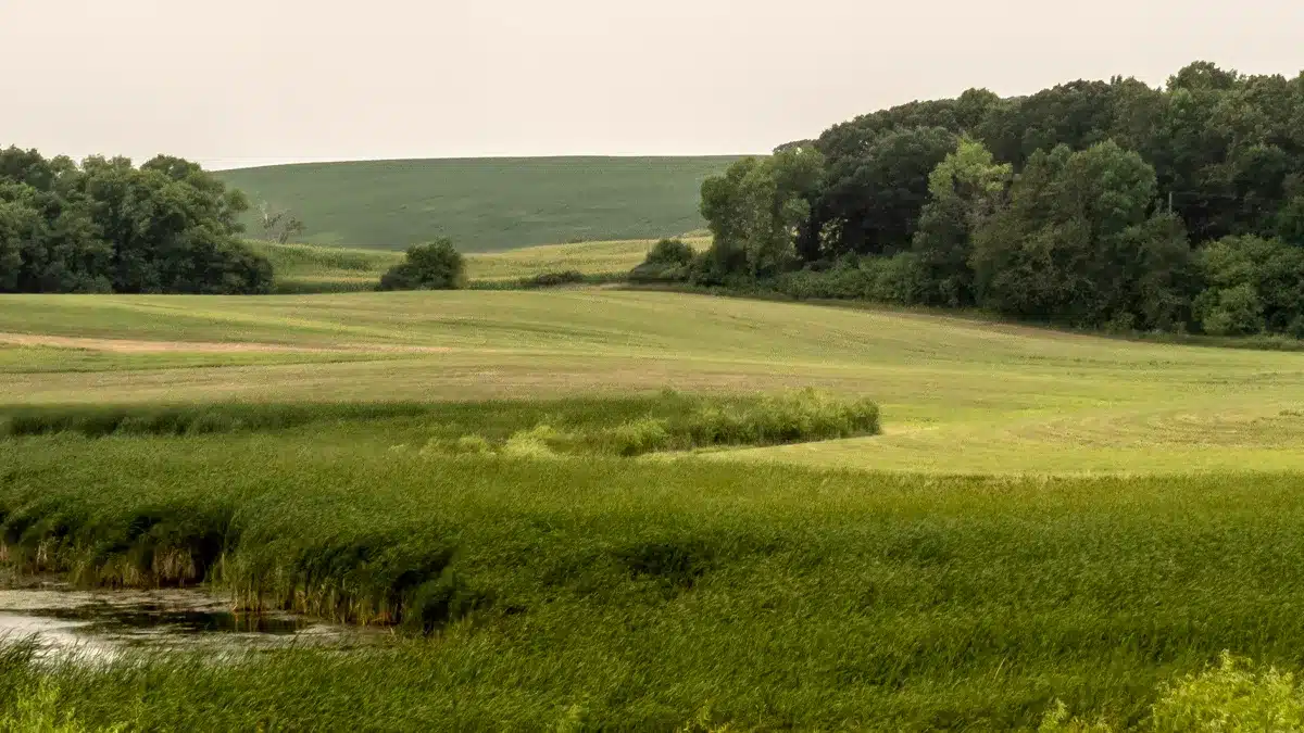 Land near pond
