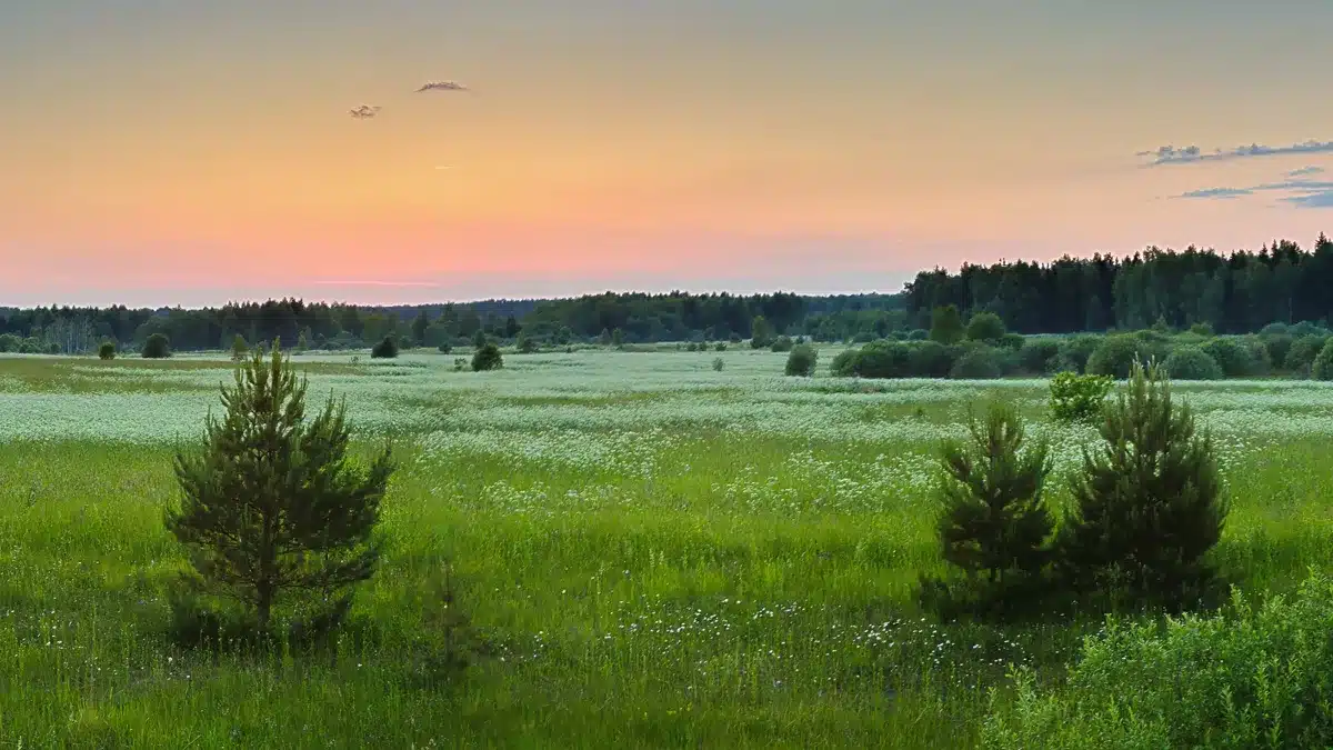 Minnesota open land at sunset